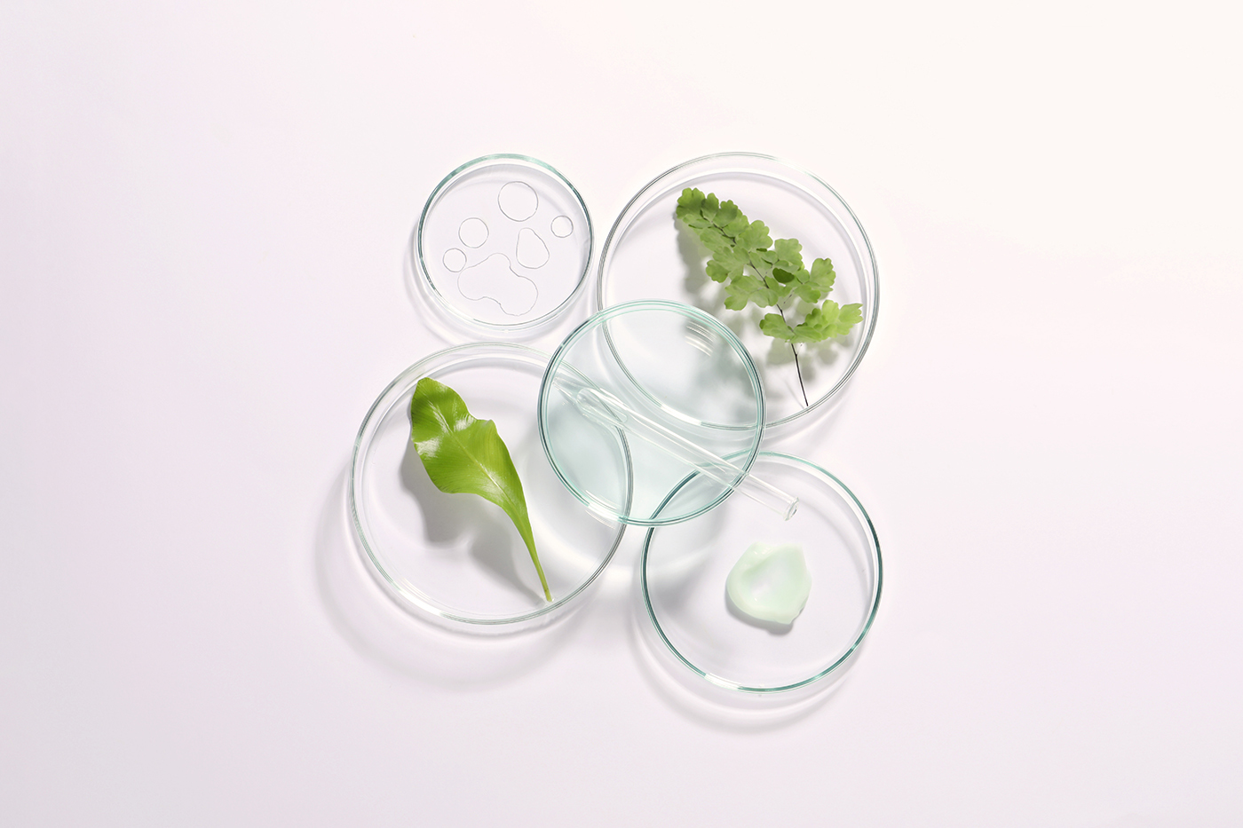 Bio-based chemicals